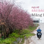 Sac Dao Mang Den