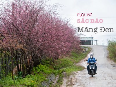 Sac Dao Mang Den